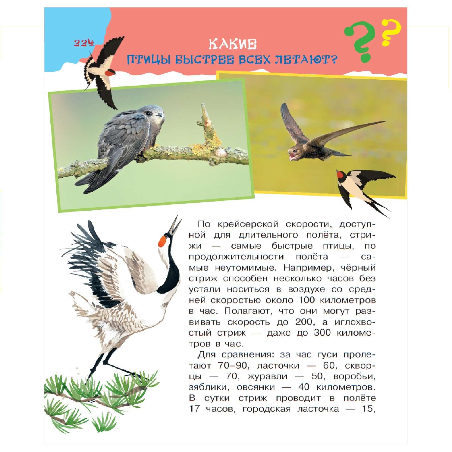 Энциклопедия АСТ Большая книга почему - фото 9
