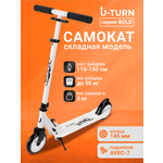 Самокат Рыжий кот двухколесный