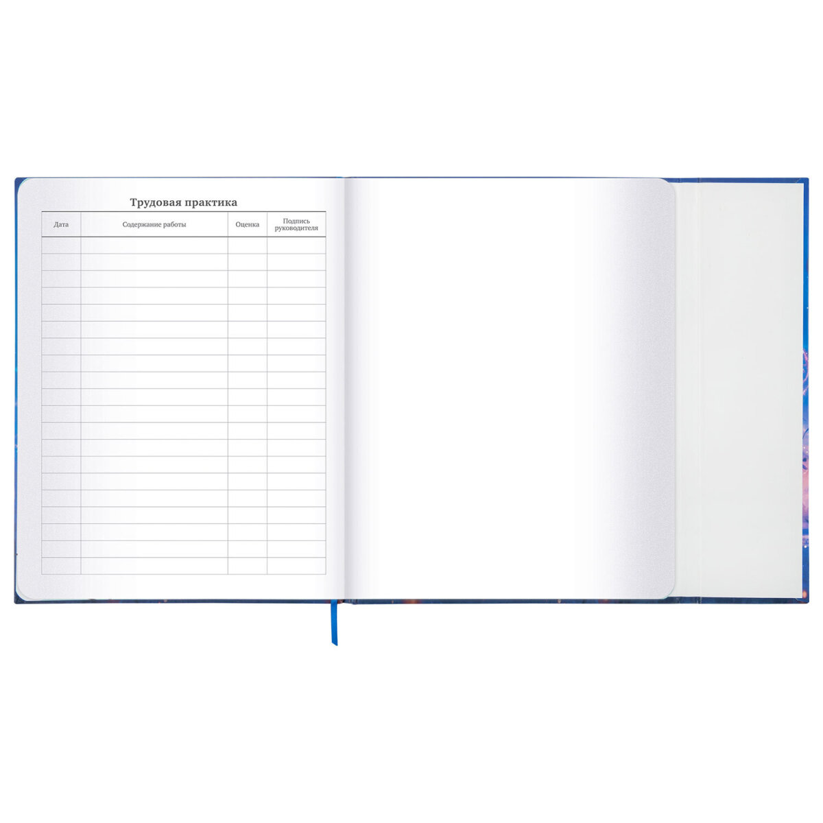 Дневник школьный Brauberg для девочек 1-11 класс в школу - фото 20