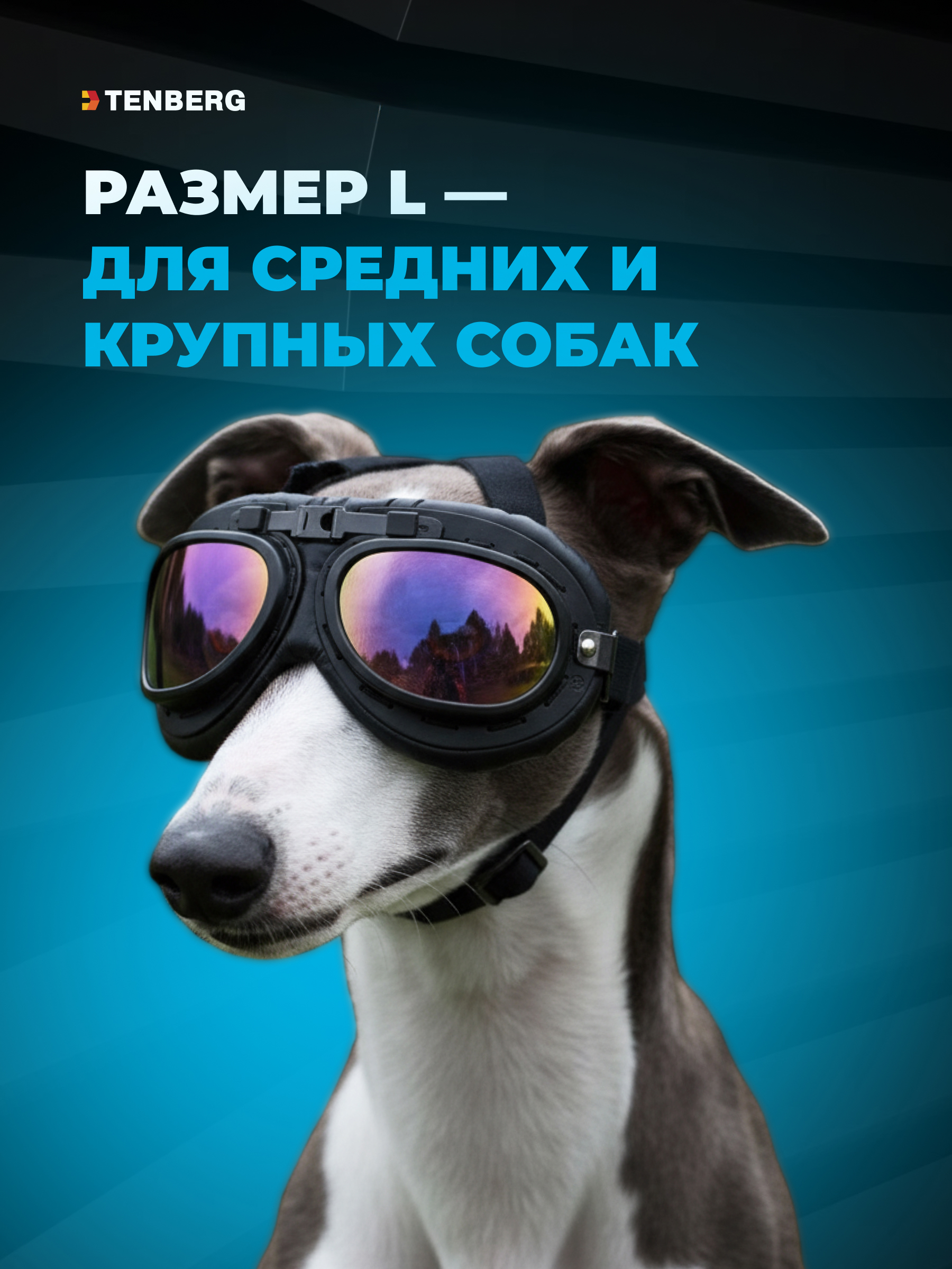 Солнцезащитные очки для собак TENBERG Barkley UV Black - фото 2