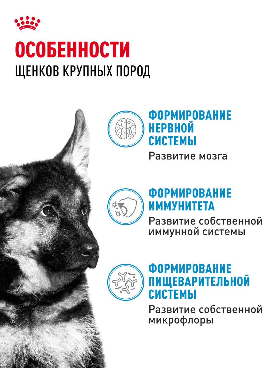 Корм для щенков влажный ROYAL CANIN Maxi Puppy для крупных пород в возрасте до 15 месяцев соус 100г - фото 2
