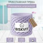 Трикотажная пряжа BISKVIT Лавандовое мороженое
