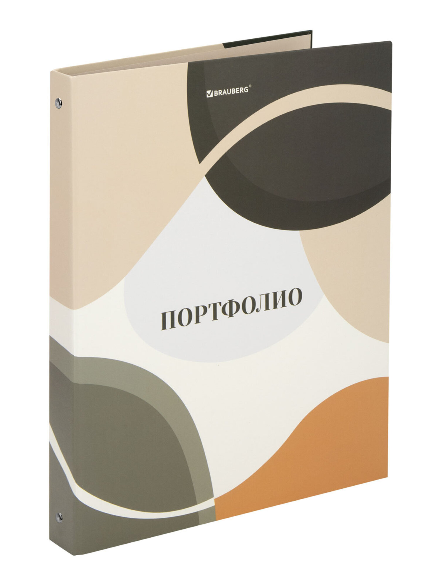 Портфолио школьника Brauberg папка А4 на кольцах 20 файлов для девочки и мальчика - фото 6
