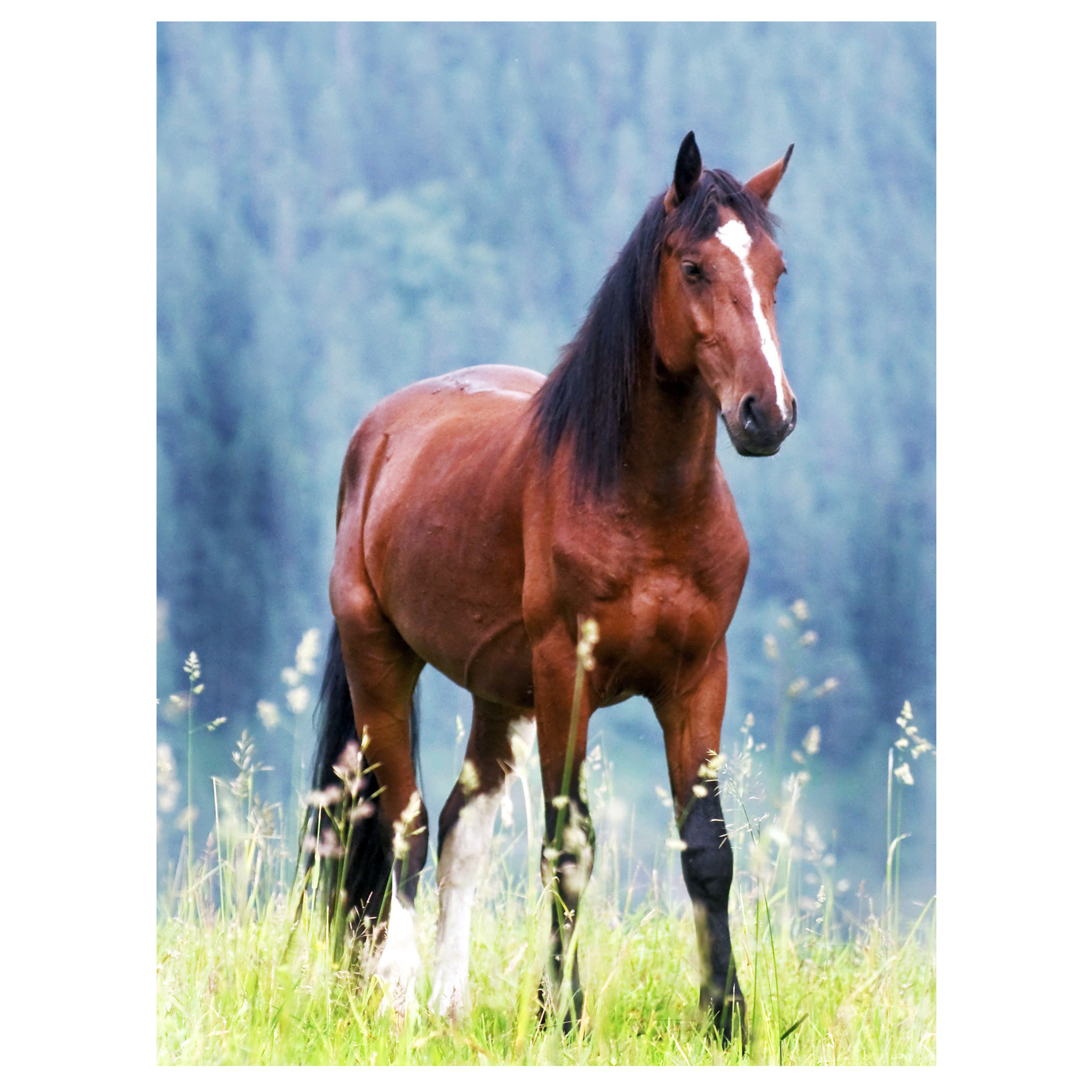 Пазл 1TOY Лошадь в горах деревянный - фото 1