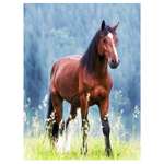 Пазл 1TOY Лошадь в горах деревянный