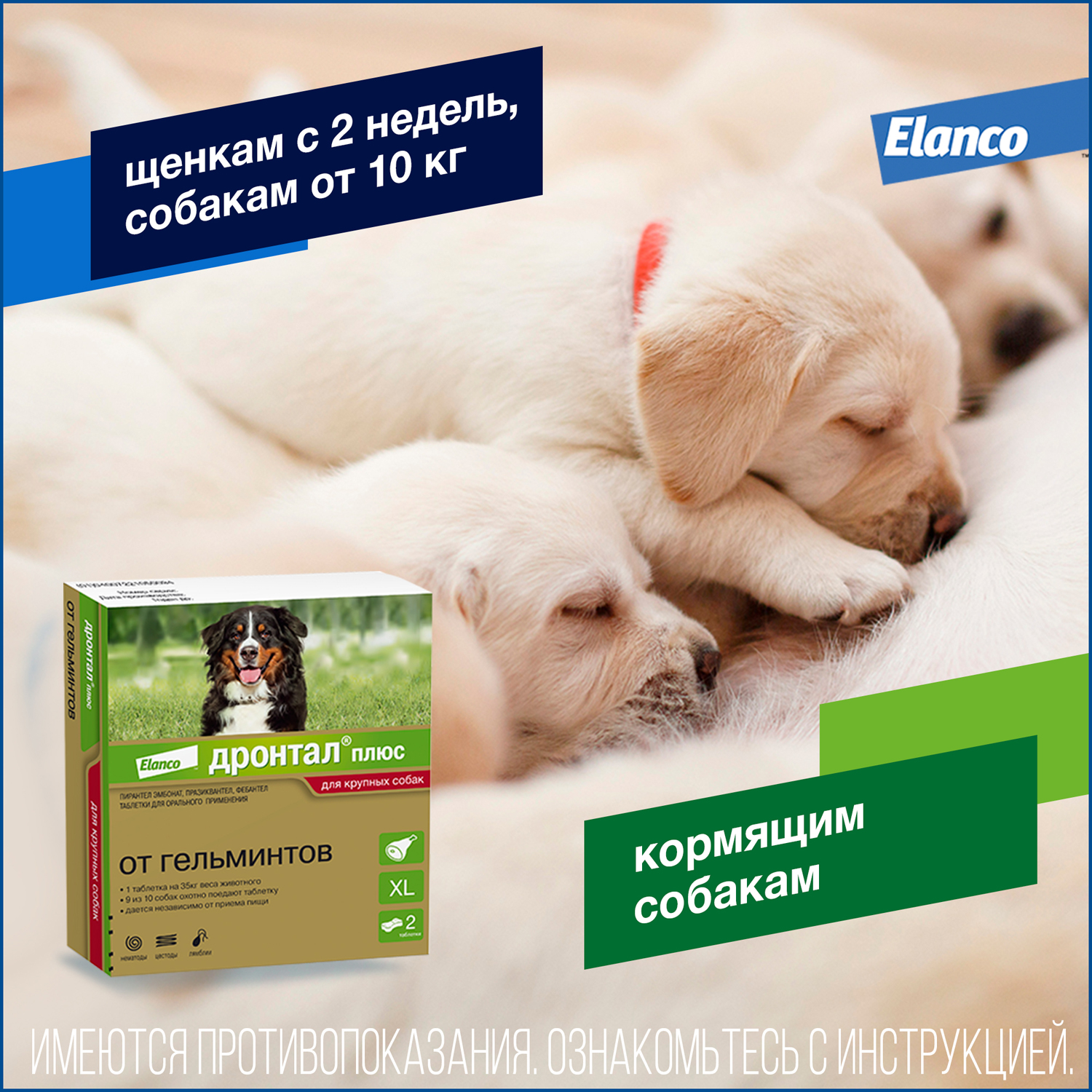 Таблетки для собак Elanco Дронтал плюс против глистов XL 2таблетки - фото 6