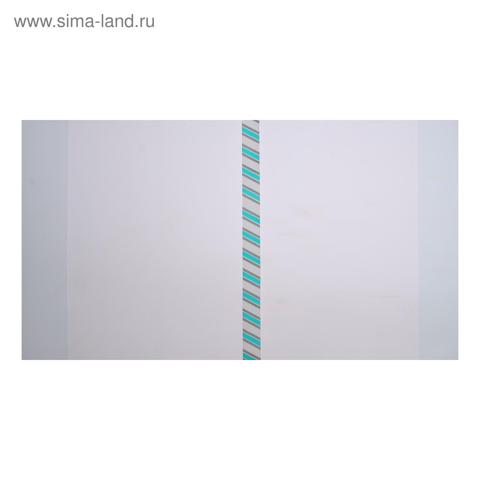 Обложка Calligrata - фото 5