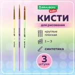 Кисть Brauberg 3 шт. (синтетика)