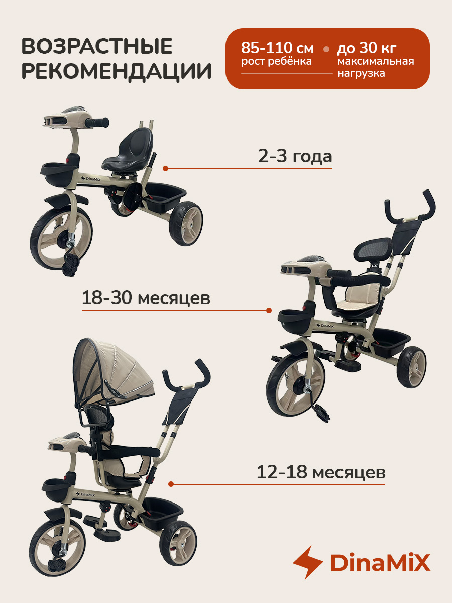 Трехколесный велосипед DinaMiX 10 дюймов - фото 4