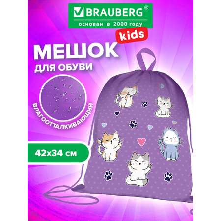 Мешок для обуви Brauberg