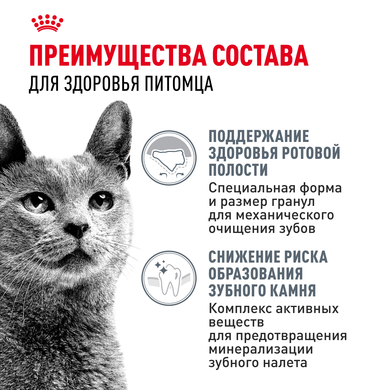 Корм для кошек ROYAL CANIN Dental Care для профилактики образования зубного налета и зубного камня 1.5кг - фото 3