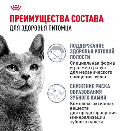 Корм для кошек ROYAL CANIN Dental Care для профилактики образования зубного налета и зубного камня 1.5кг