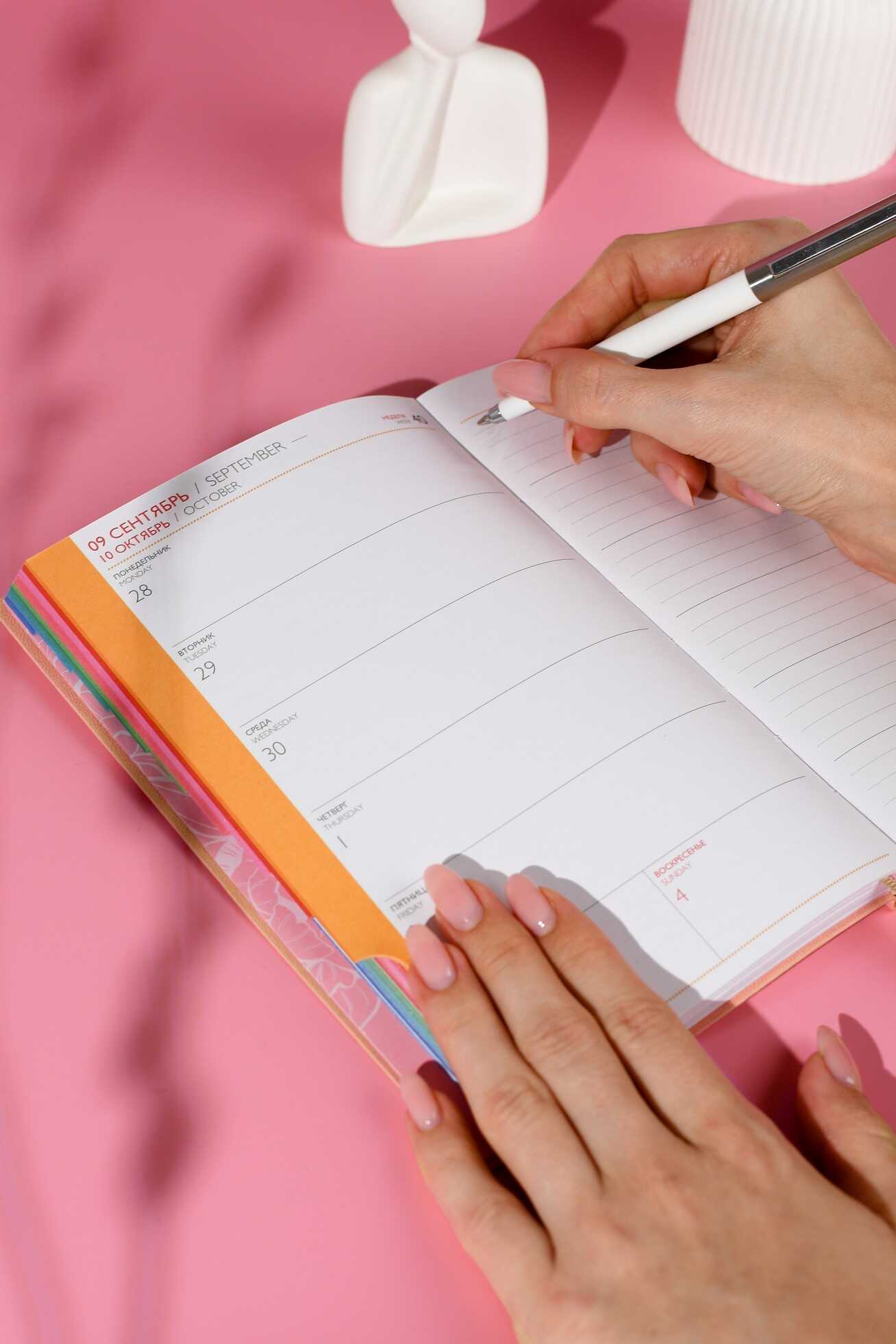 Ежедневник Феникс + ESCALADA 96 лист. - фото 13