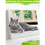 Картина по номерам Art on Canvas Домашний уют в ассортименте