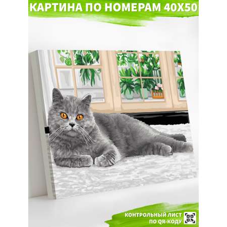 Картина по номерам Art on Canvas Домашний уют в ассортименте