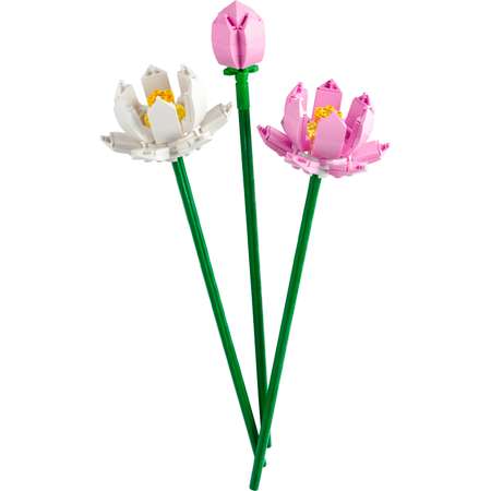 Конструктор LEGO Botanicals Цветы лотоса блочный