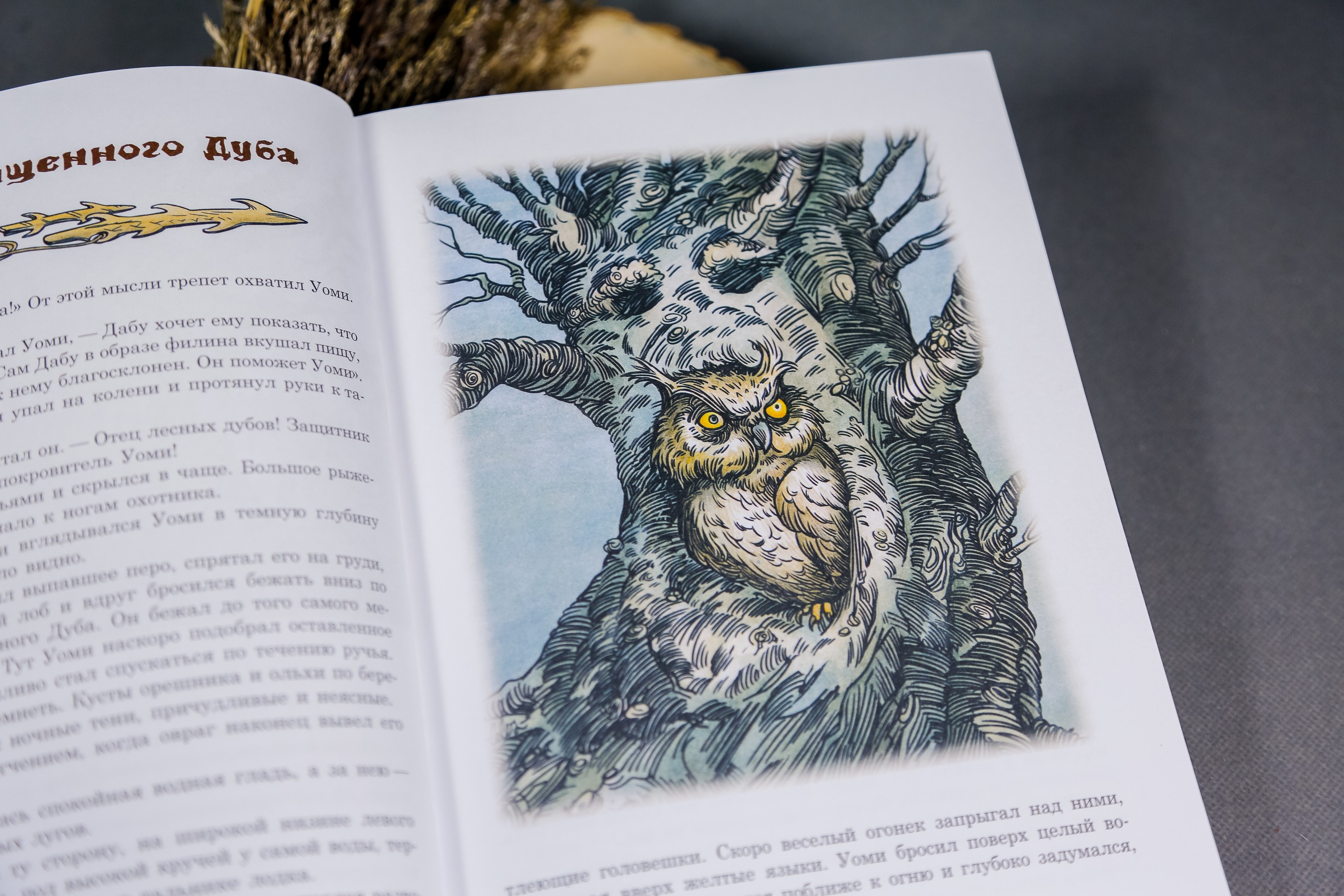 Книга Качели Поселок на озере - фото 5