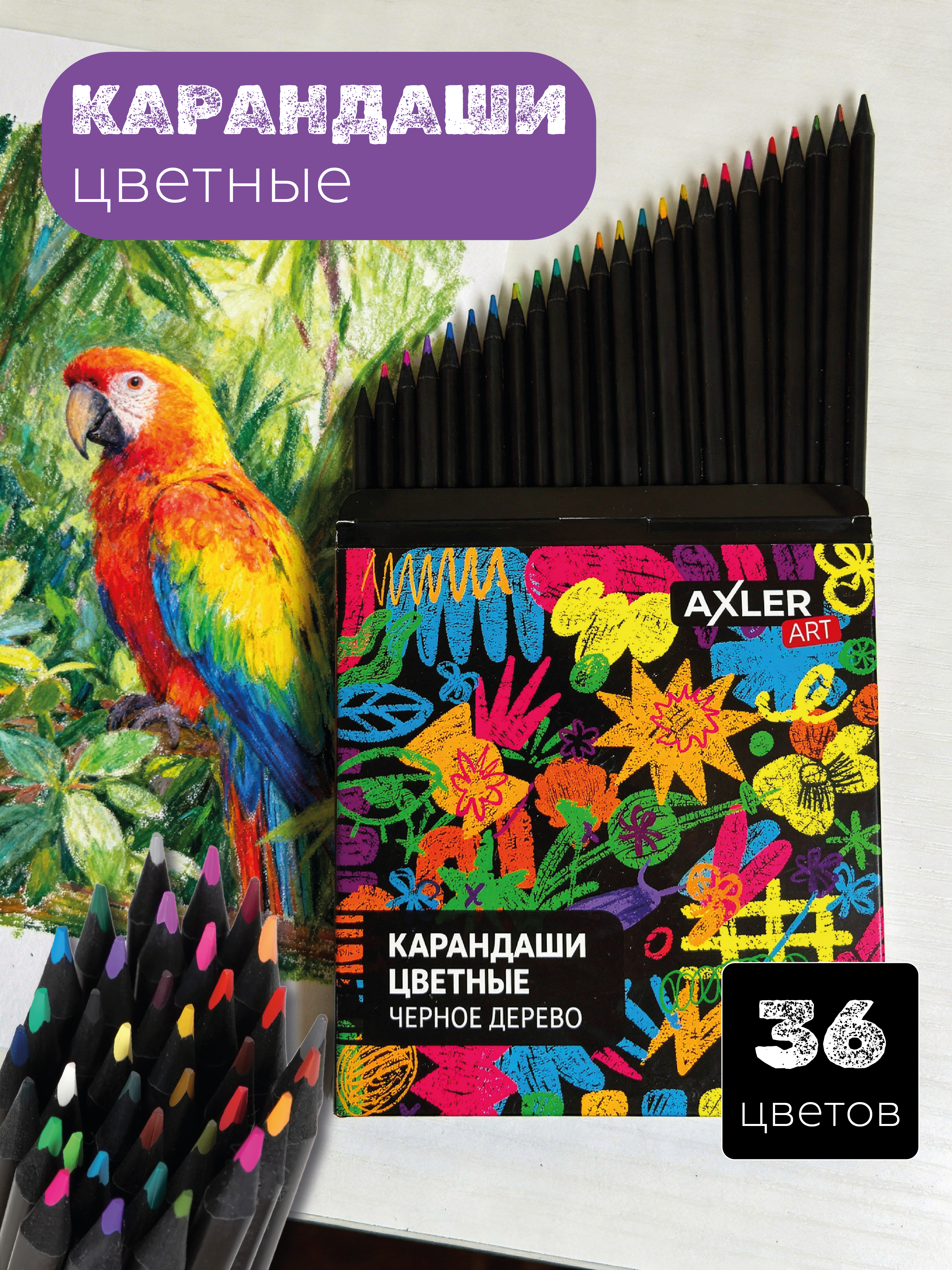 Карандаши цветные AXLER 36 шт. - фото 1