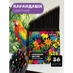 Карандаши цветные AXLER 36 шт.