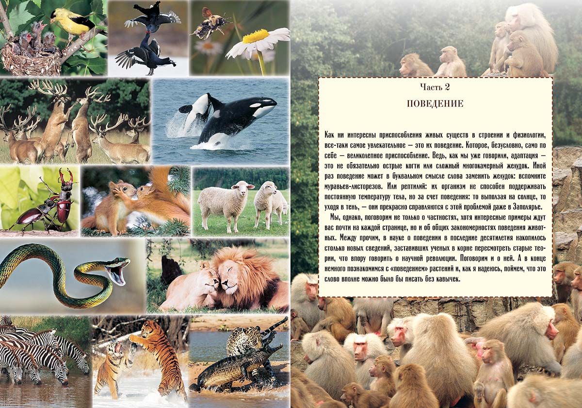 Книга Белый город Нескучная биология с задачами и решениями - фото 6