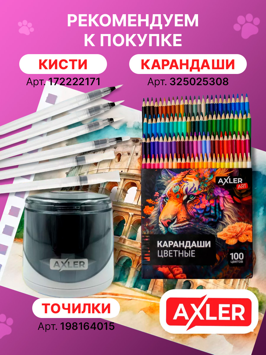 Альбом AXLER А4 40 лист. 2 шт. - фото 7