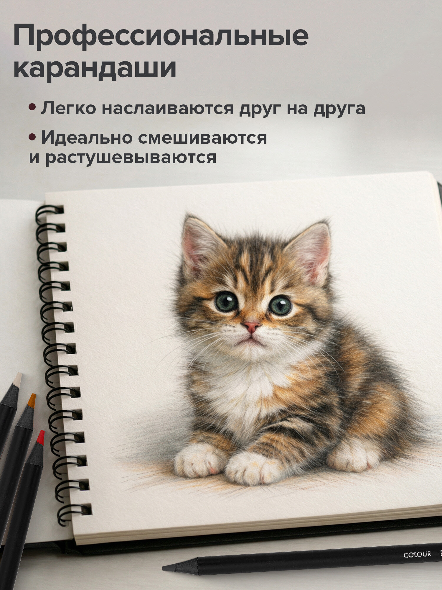 Карандаши цветные Brauberg 12 шт. - фото 3