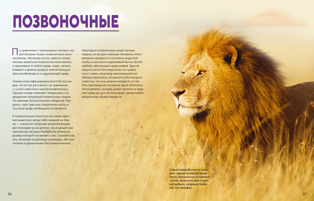 Книга Махаон Огромная энциклопедия животных мира - фото 11