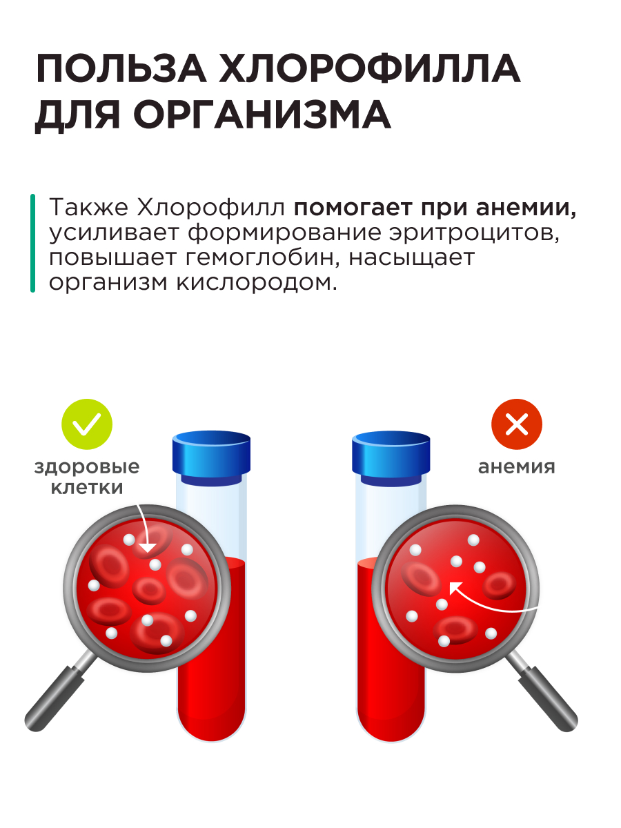 Мята и Виноград Guarchibao Хлорофилл - фото 12