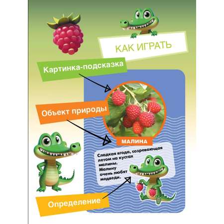 Настольная игра Игротека ЭКО-Крокодил