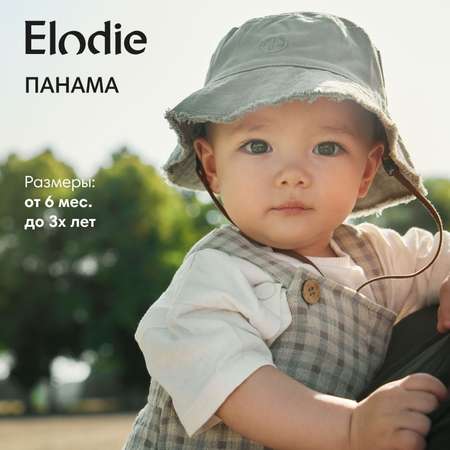 Панама Elodie