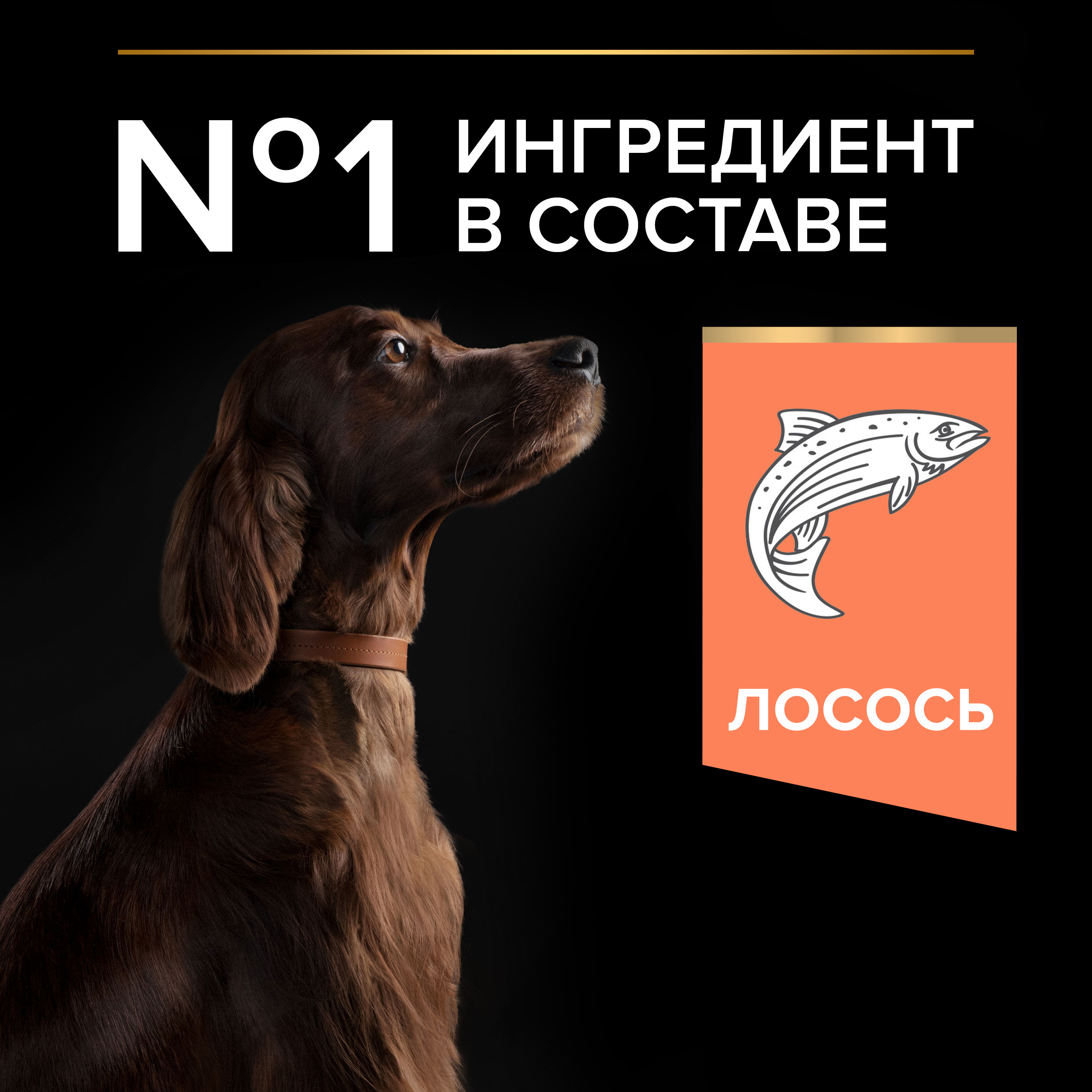 Корм сухой для собак PRO PLAN SENSITIVE SKIN 14 кг с лососем для крупных пород - фото 5