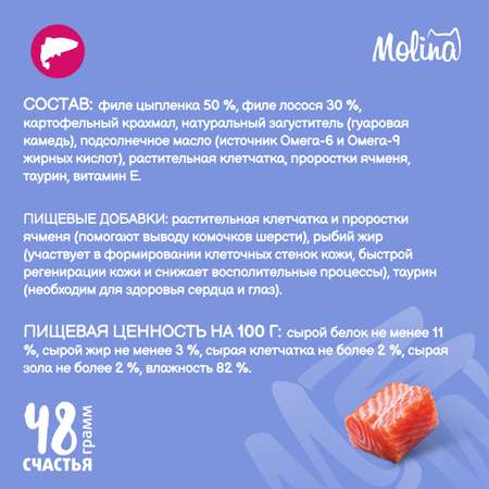 Крем-лакомство для кошек Molina 48г с лососем здоровая кожа и шерсть
