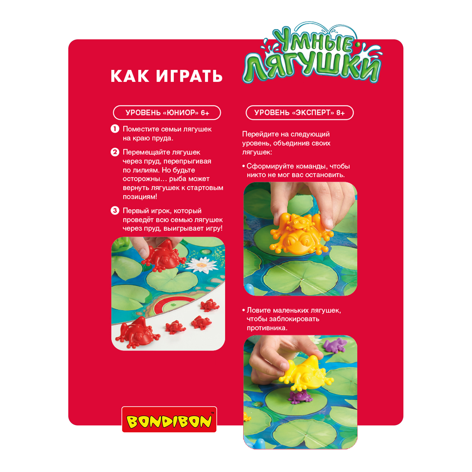 Настольная игра Bondibon логическая УМНЫЕ ЛЯГУШКИ - фото 7