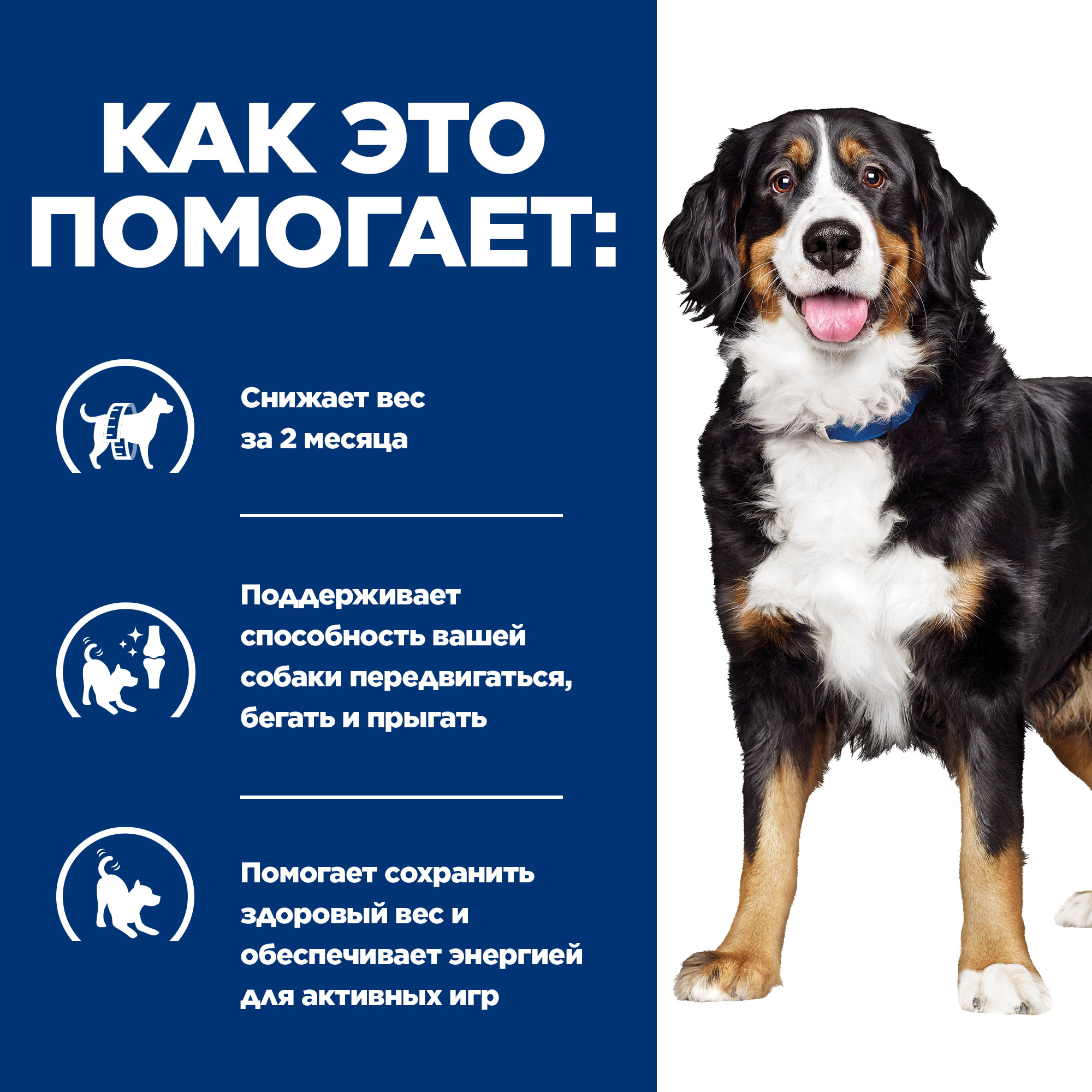 Корм для собак Hills 370г Prescription Diet Metabolic+Mobility диетический с курицей - фото 3