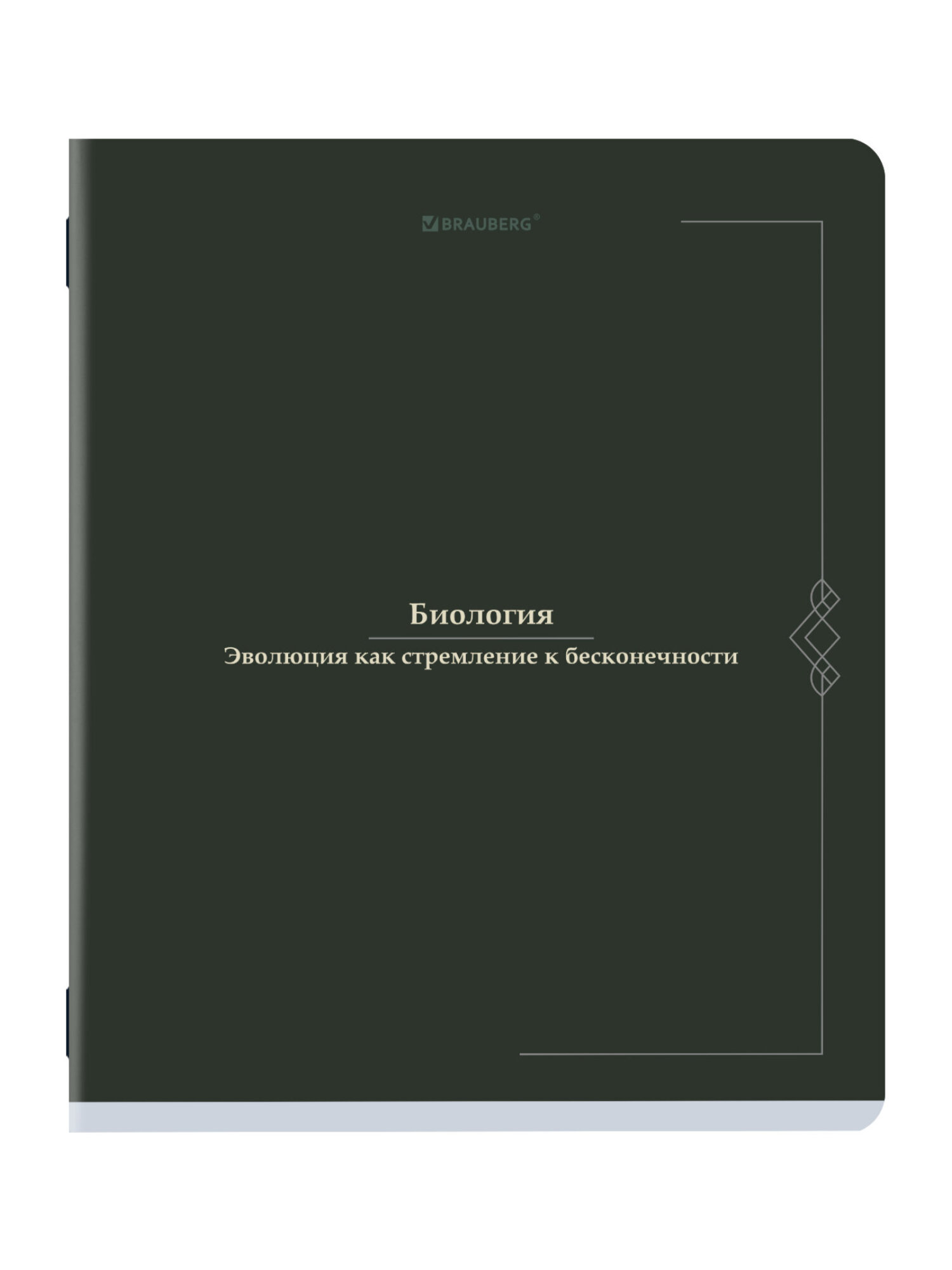 Тетрадь Brauberg 48 лист. 12 шт. - фото 13