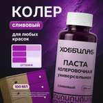 Колеровочная паста ХОББИЛАБ для краски для стен мебели Сливовый 100 мл