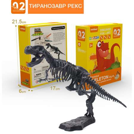 Набор для раскопок SHARKTOYS