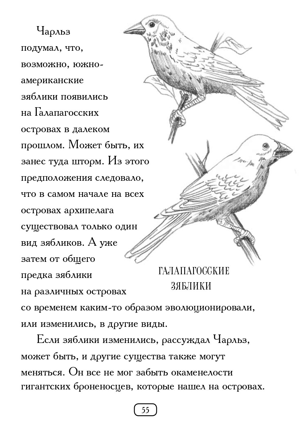 Книга Издательство Карьера Пресс Кто такой Чарльз Дарвин - фото 5