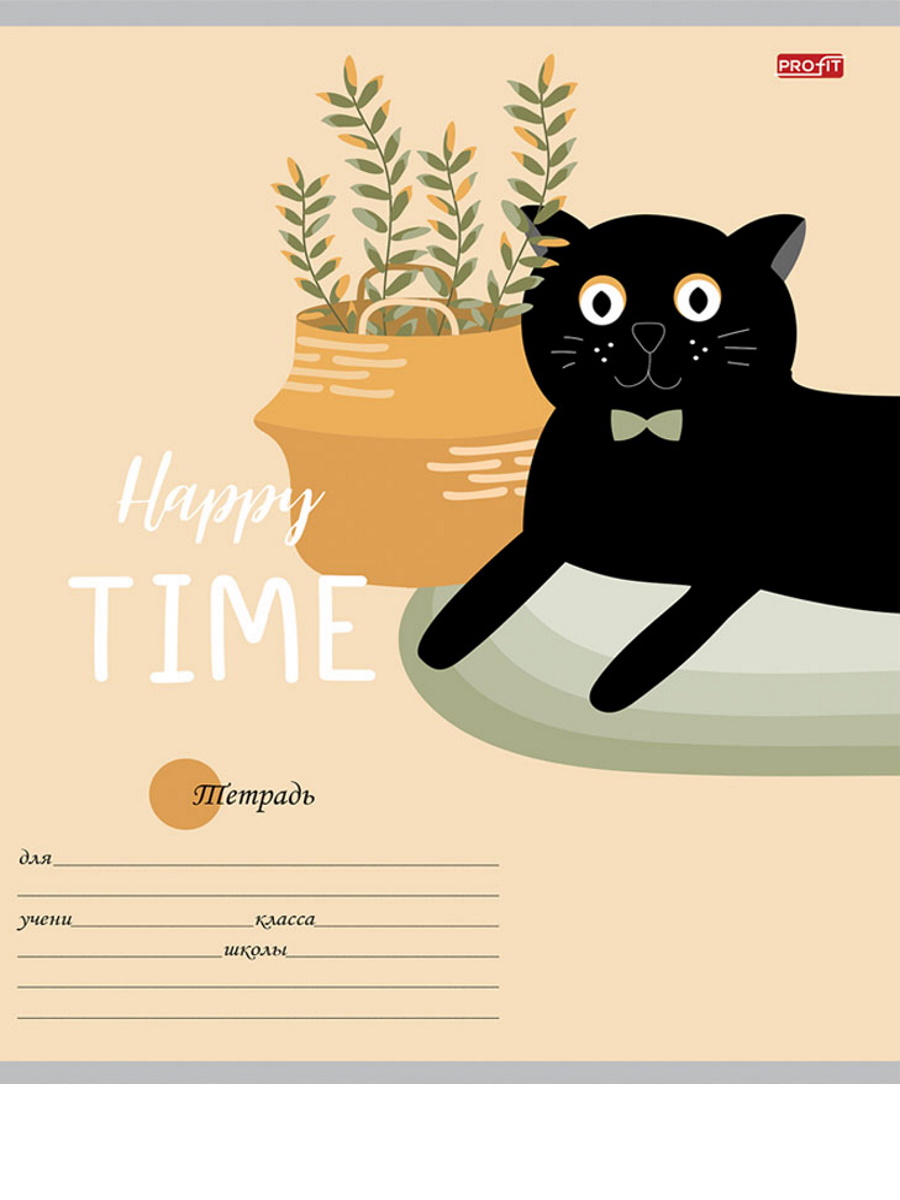 Тетрадь Profit линейка 24 лист. 20 шт. - фото 9