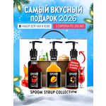 Набор сиропов SPOOM Глинтвейн Манго пряный Персидские специи для кофе 3шт 250мл + 3 дозатора