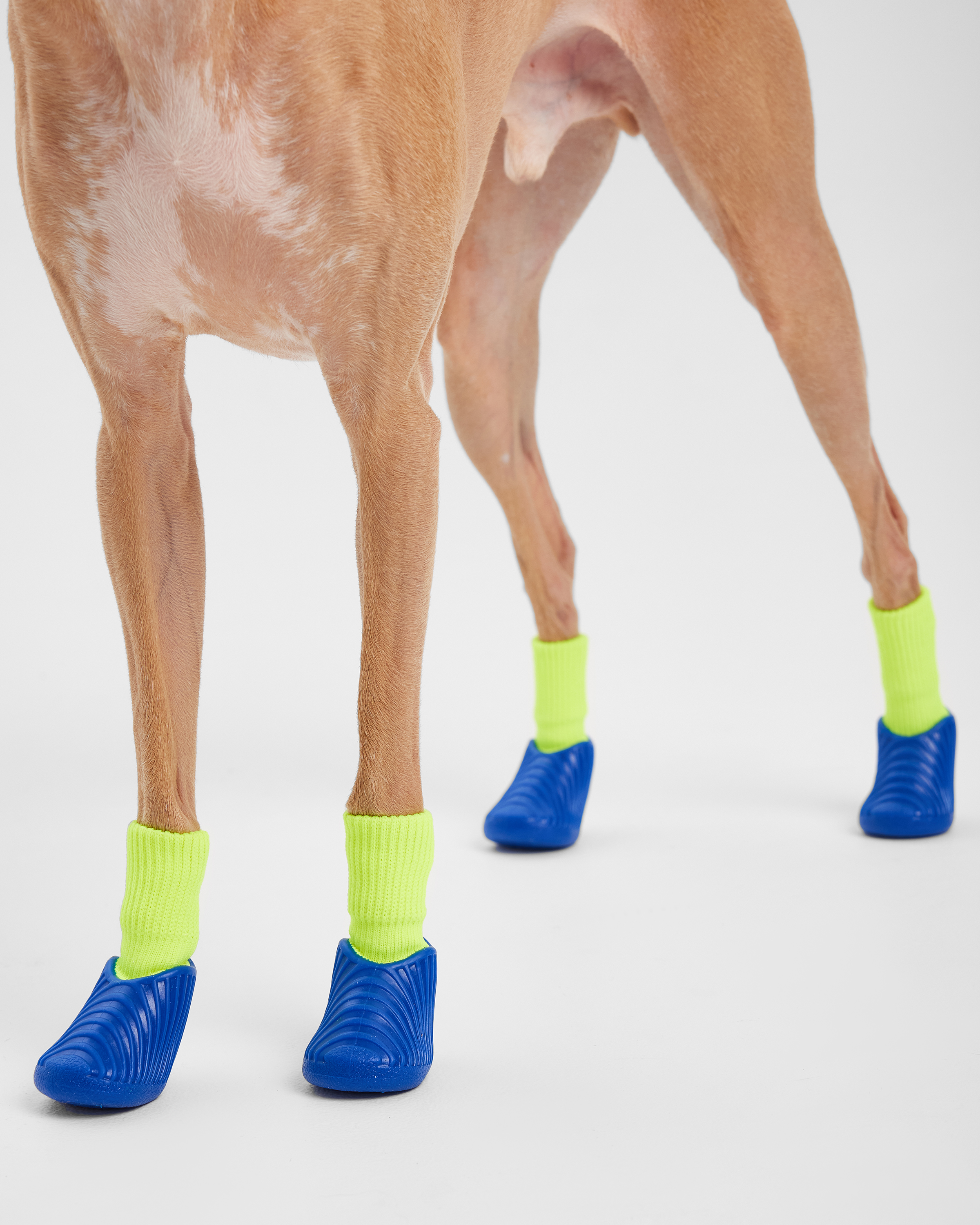 Ботинки для собак Зоозавр 4 шт - фото 6