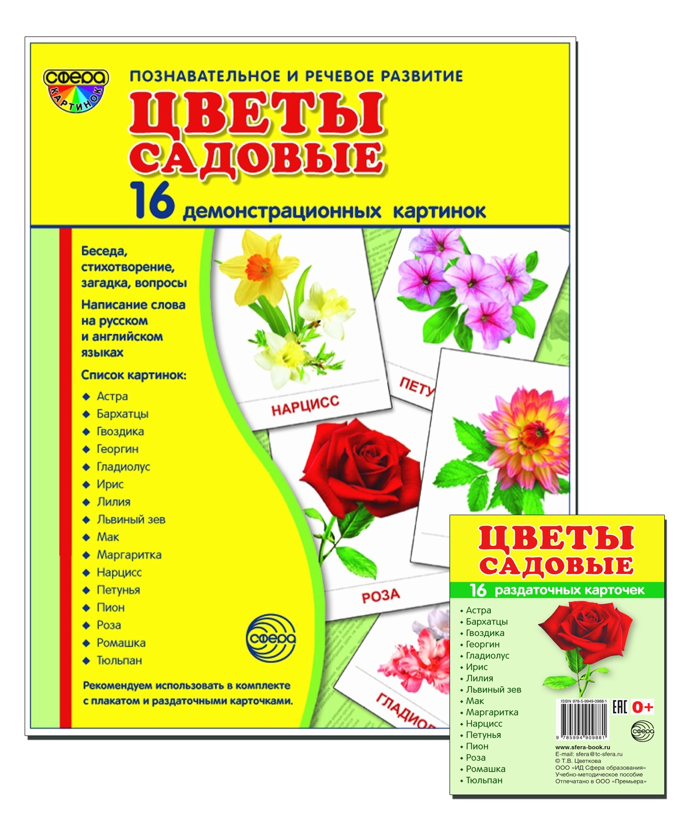 Карточки ТЦ Сфера Демонстрационные картинки - фото 1