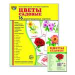 Карточки ТЦ Сфера Демонстрационные картинки