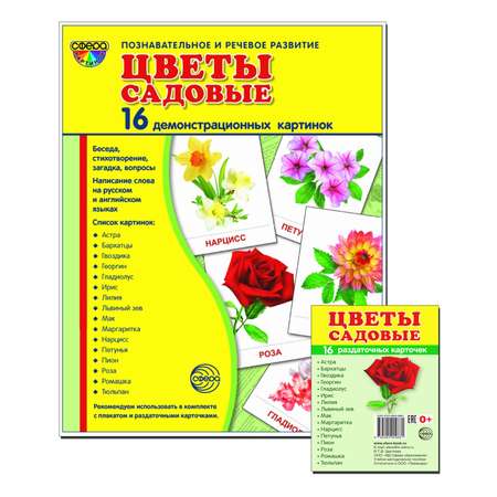 Карточки ТЦ Сфера Демонстрационные картинки