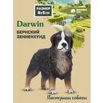 Фигурка DARWIN Собака Бернский зенненхунд