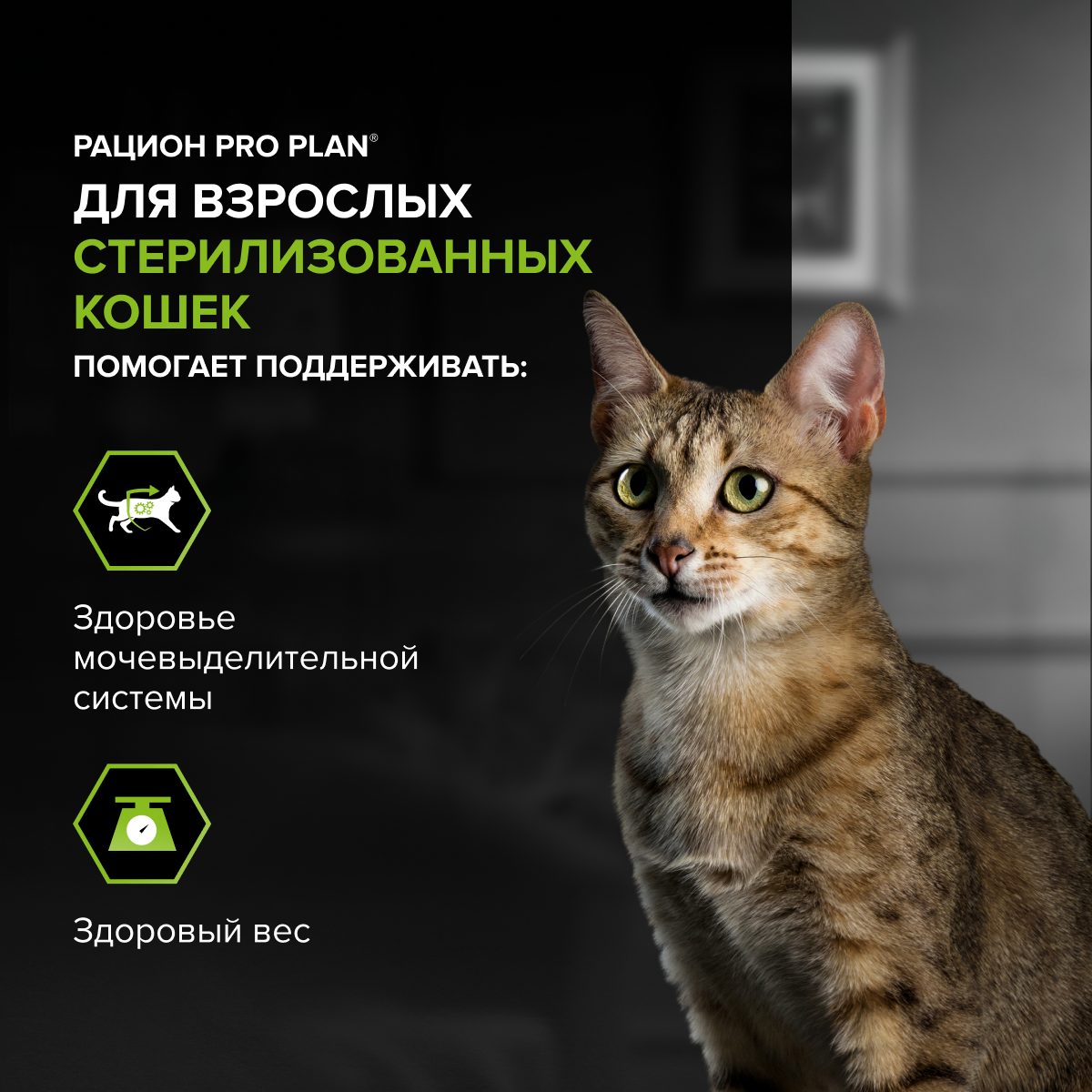 Корм для кошек сухой PRO PLAN Sterilised Adult Delicate Digestion для взрослых стерилизованных кошек с курицей - фото 4