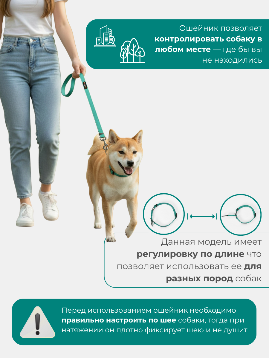 Ошейник для собак Easy Pets 5013 Half-choke collar зеленый р-р M 30-50см - фото 6