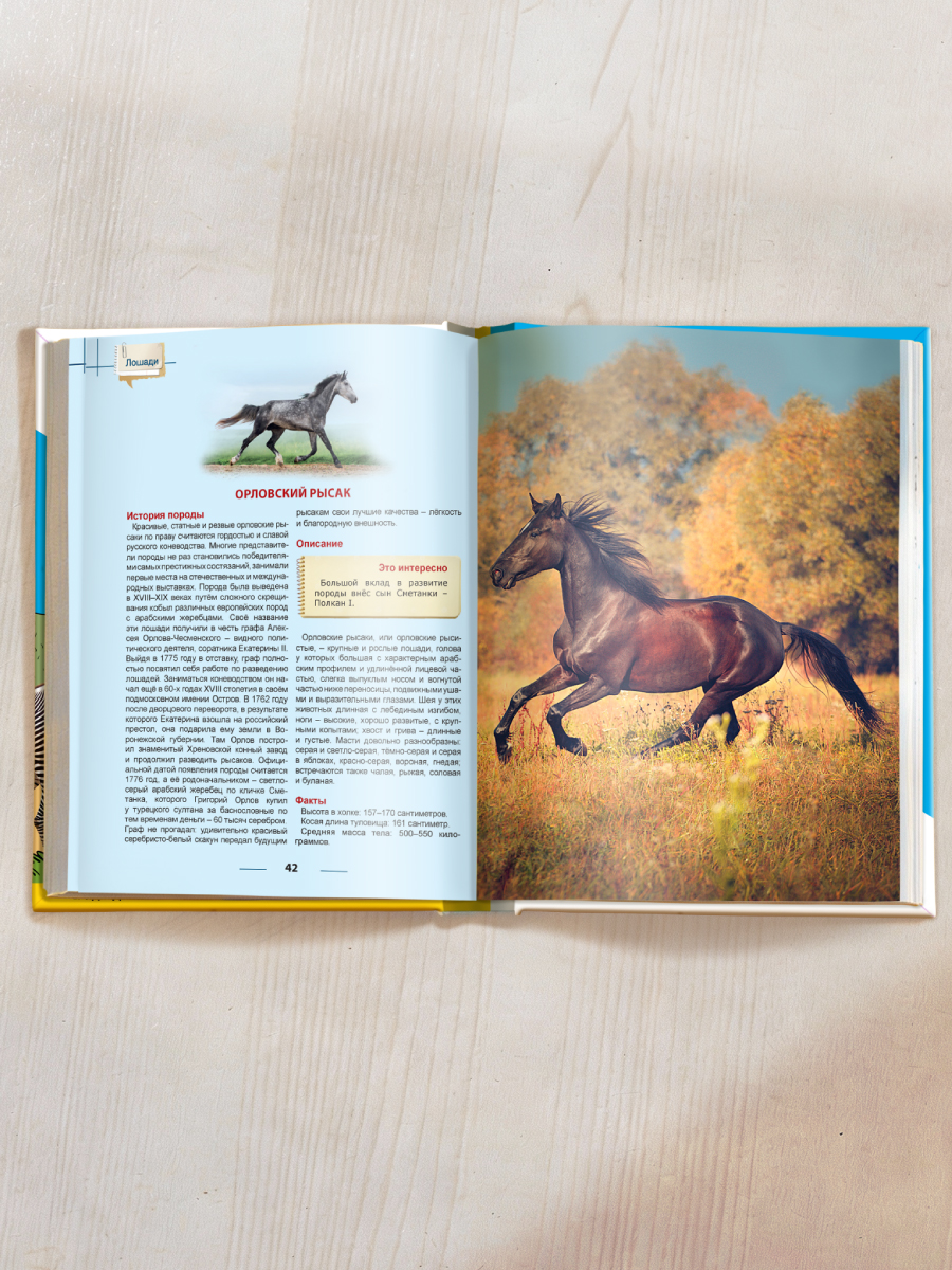 Книга Проф-Пресс Энциклопедия для детей. Лошади - фото 5