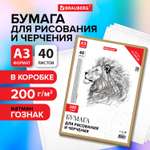 Художественная бумага Brauberg 40 лист.