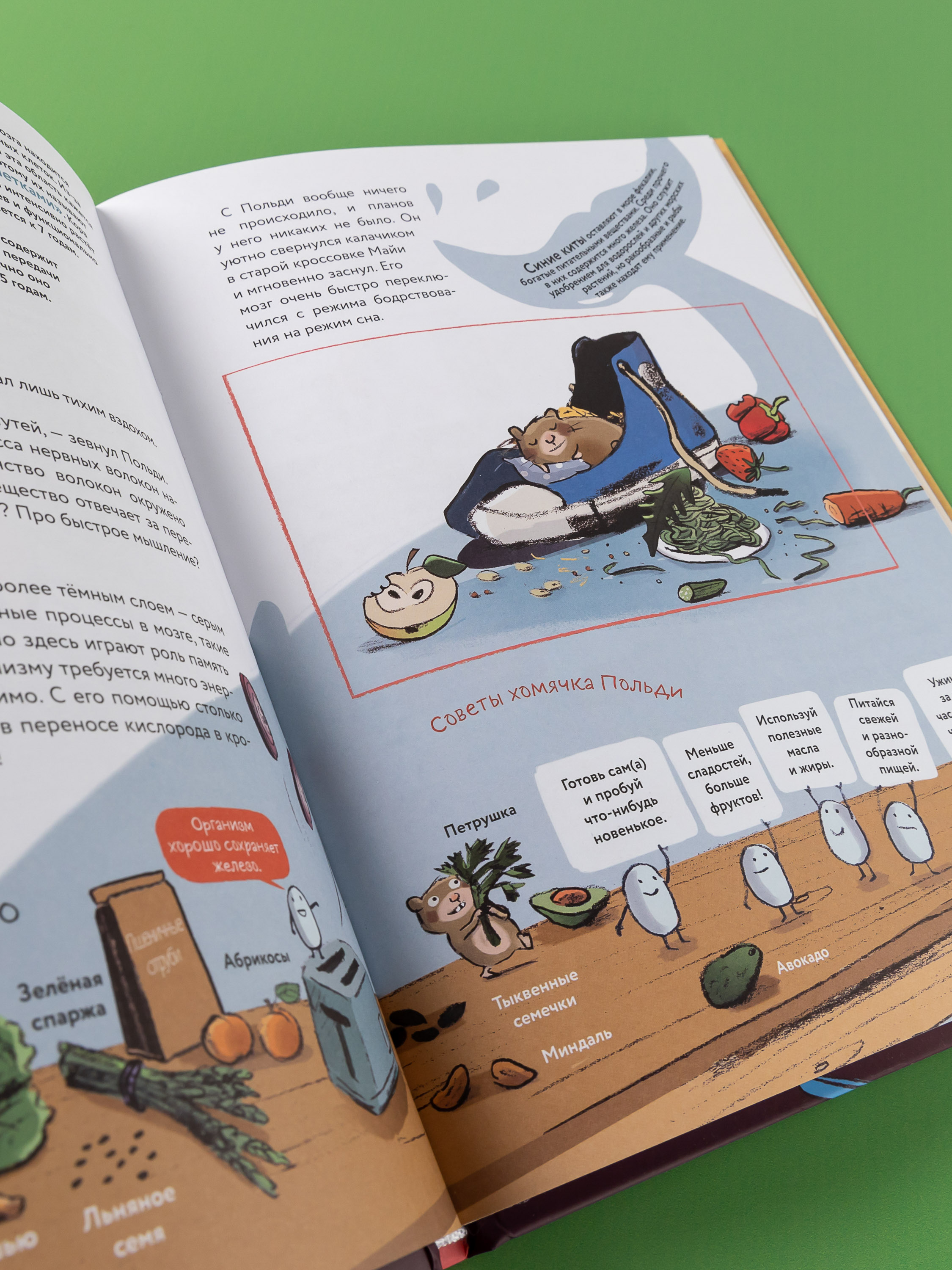 Книга Альпина. Дети Что такое человек? Записки любознательного хомяка - фото 12